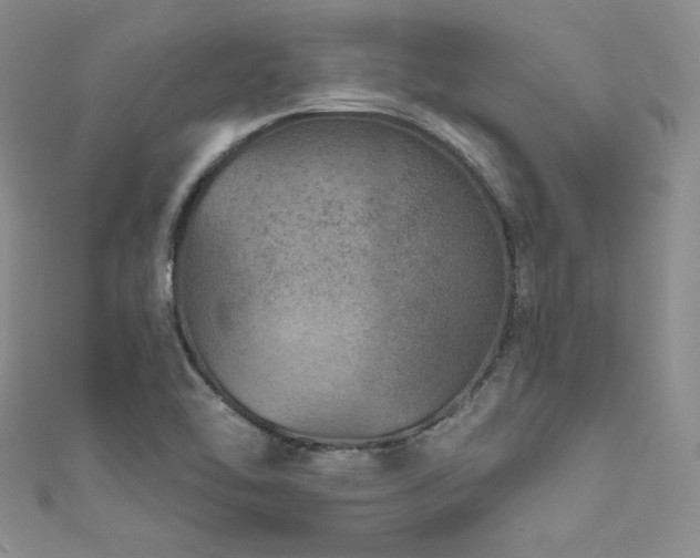 X0000111871462200907231503