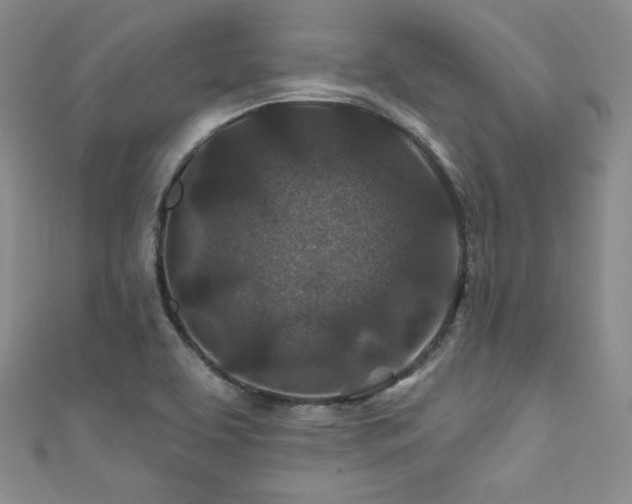 X0000111871463200907231503