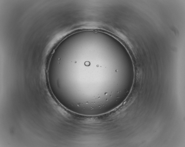 X0000111871464200907231503