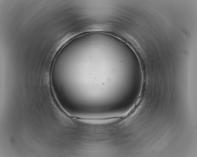 X0000111871465200907231503