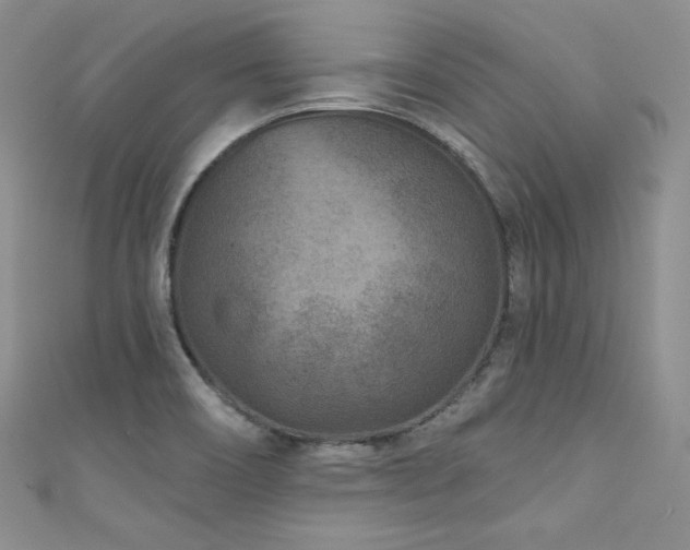 X0000111871466200907231503
