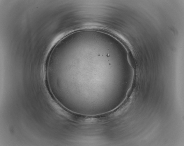 X0000111871467200907231503