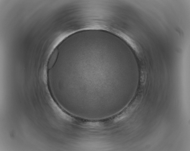 X0000111871468200907231503