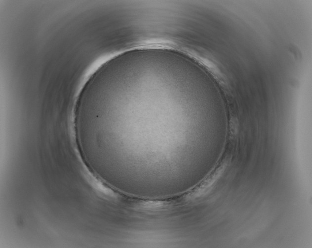 X0000111871470200907231503