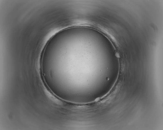 X0000111871471200907231503