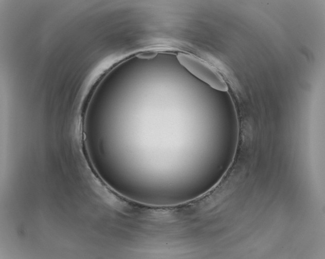 X0000111871472200907231502
