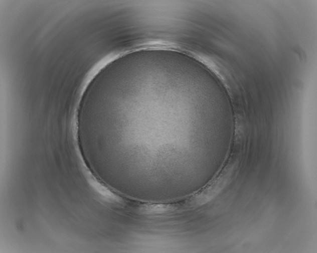 X0000111871474200907231502