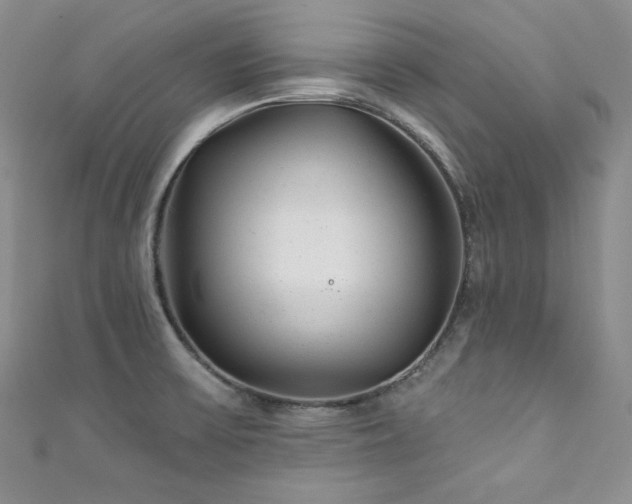 X0000111871475200907231502