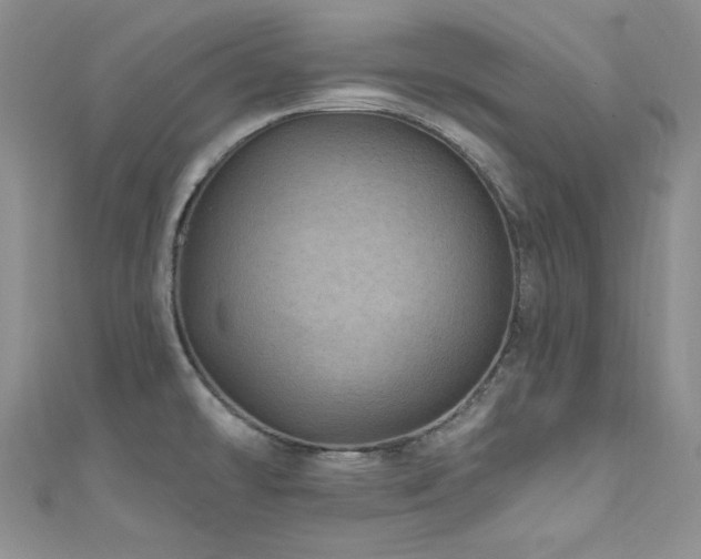 X0000111871478200907231502