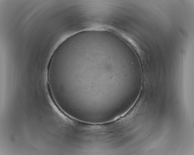 X0000111871479200907231502