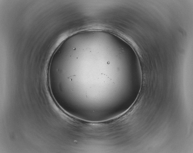 X0000111871483200907231502