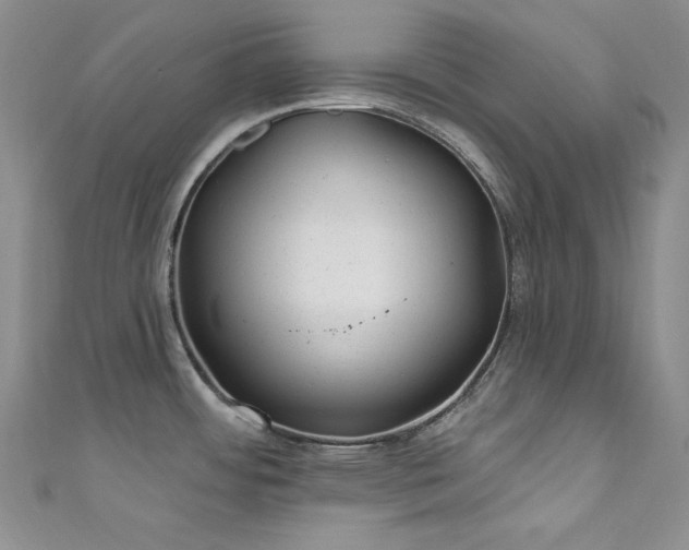 X0000111871484200907231502