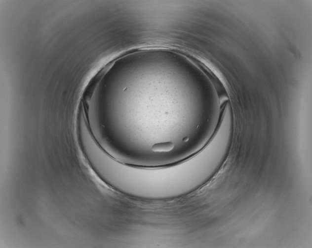 X0000111871485200907231502