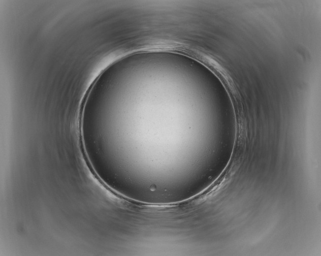 X0000111871487200907231502
