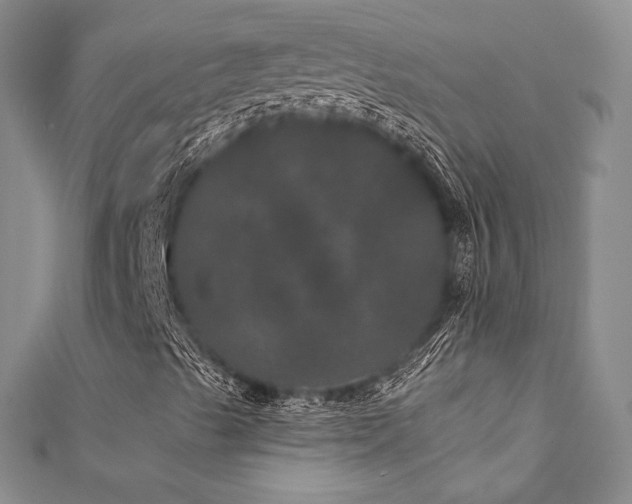 X0000111871489200907231501