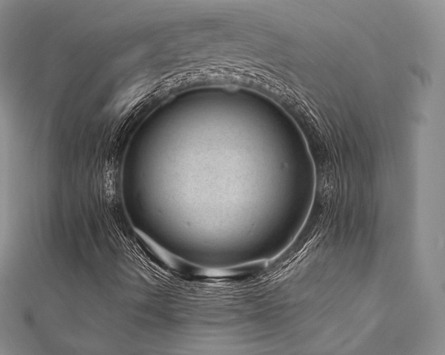 X0000111871490200907231501