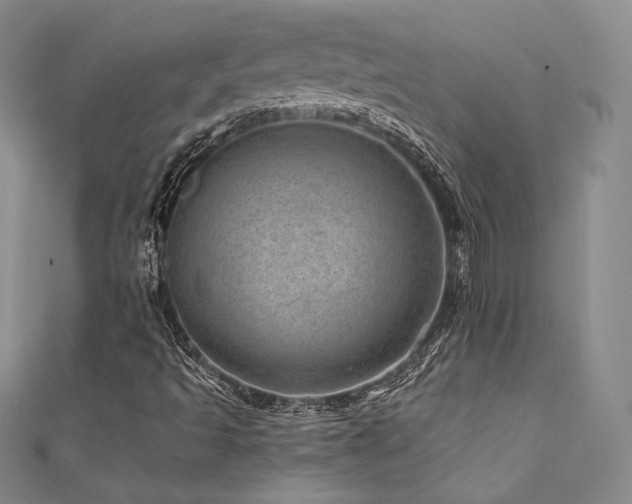 X0000111871493200907231501