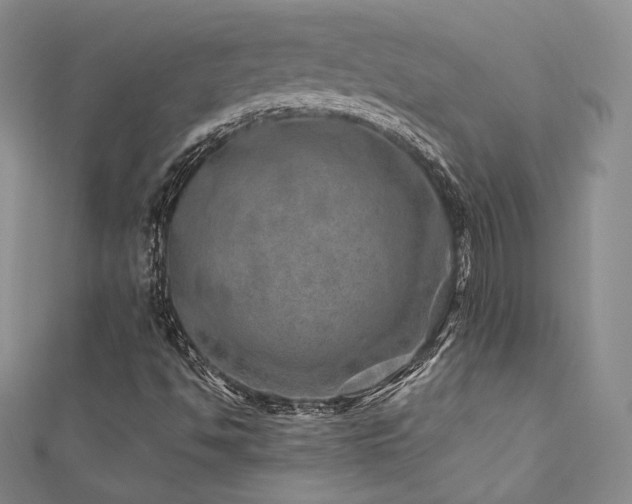 X0000111871494200907231501
