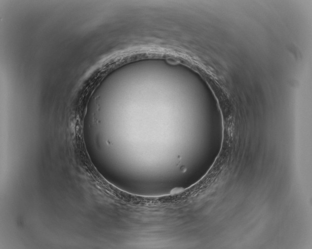 X0000111871495200907231501