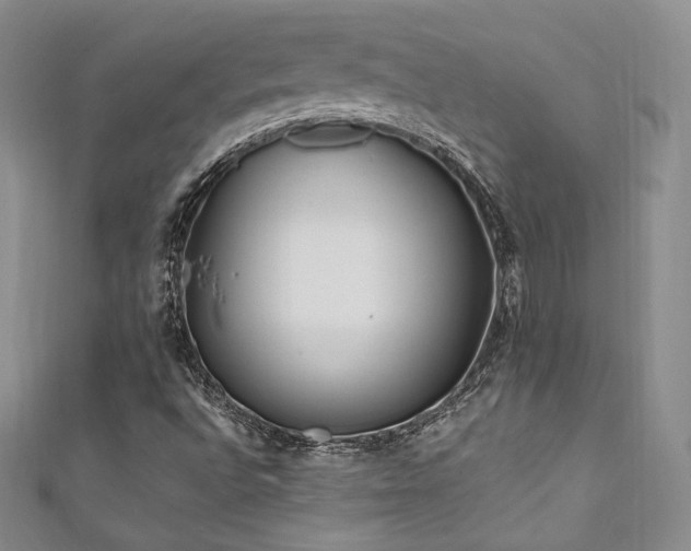 X0000111871496200907231501