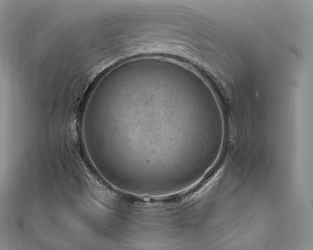 X0000111871497200907231501