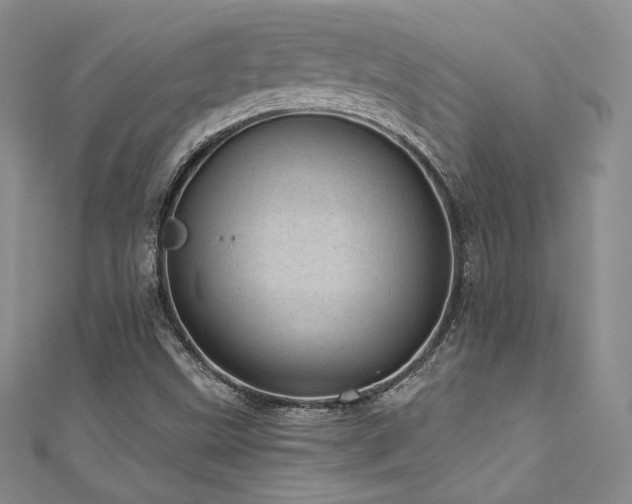 X0000111871499200907231501