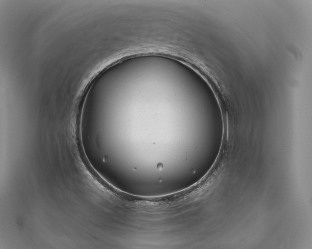 X0000111871500200907231501