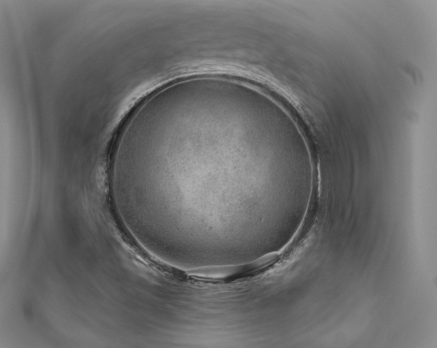 X0000111871501200907231501
