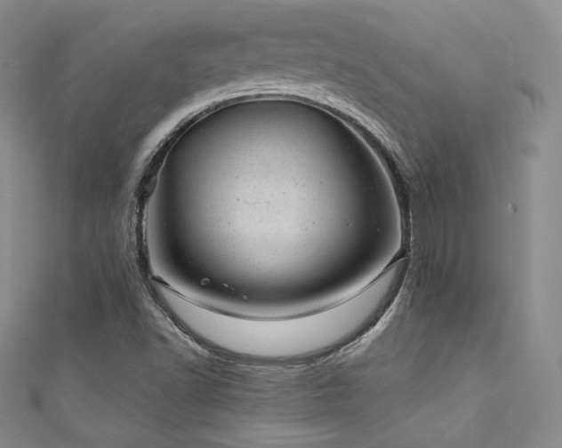 X0000111871502200907231502