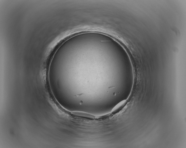 X0000111871503200907231502