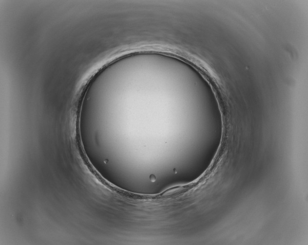 X0000111871504200907231502
