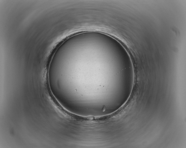 X0000111871507200907231502