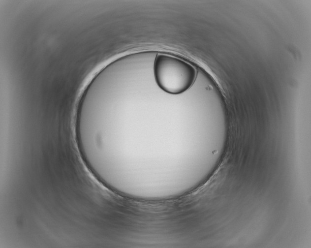 X0000111871508200907231502