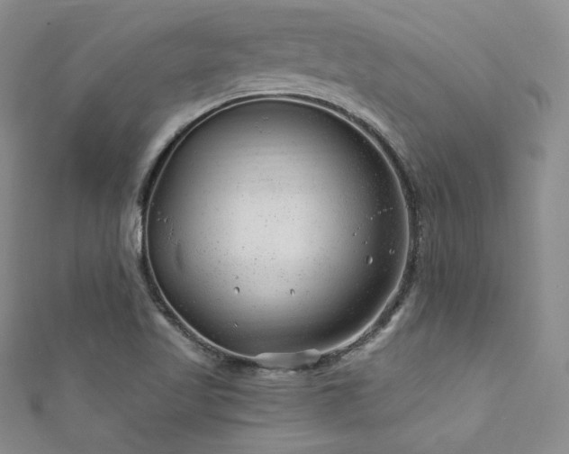 X0000111871509200907231502