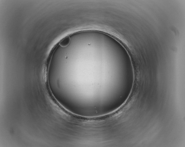 X0000111871510200907231502