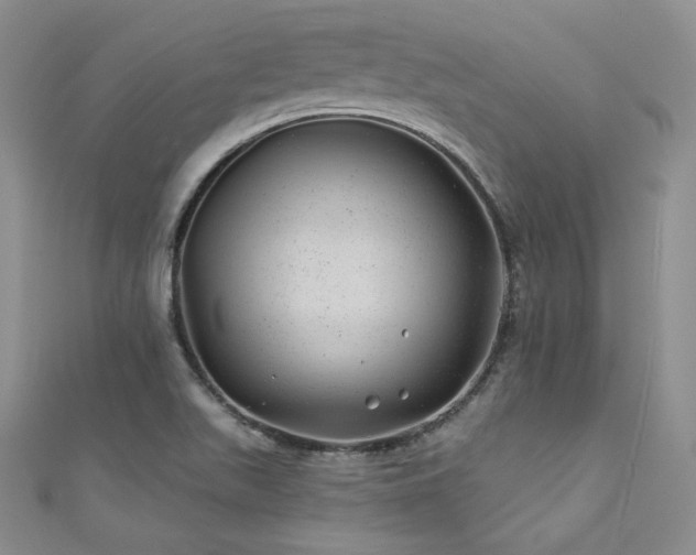 X0000111871511200907231502