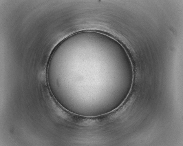 X0000111871513200907231502