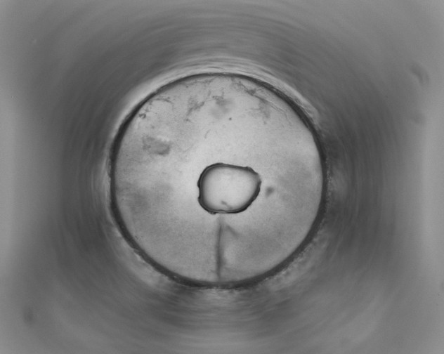 X0000111871514200907231502