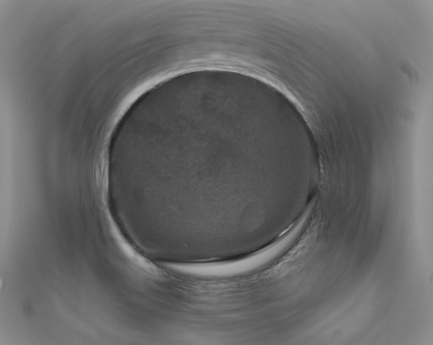 X0000111871515200907231502