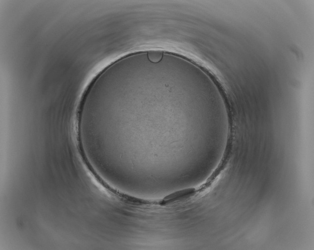 X0000111871517200907231502