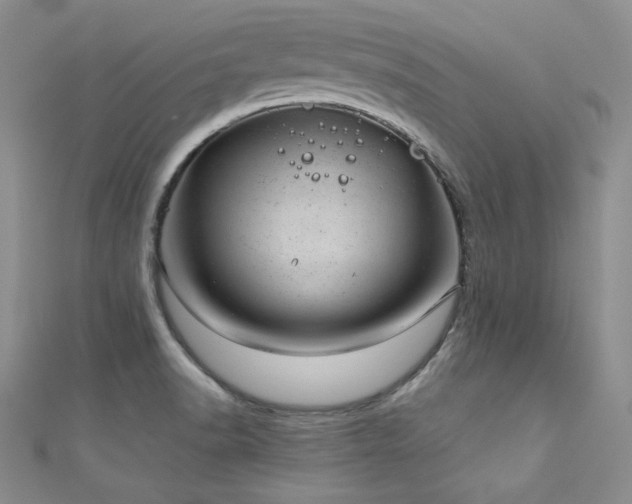 X0000111871518200907231502