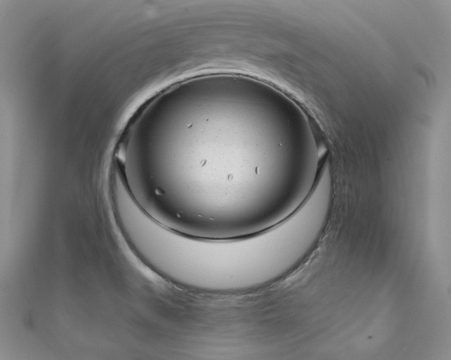 X0000111871519200907231502