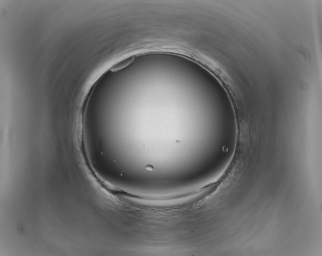 X0000111871520200907231502