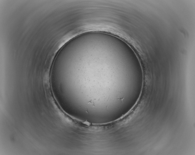 X0000111871521200907231502
