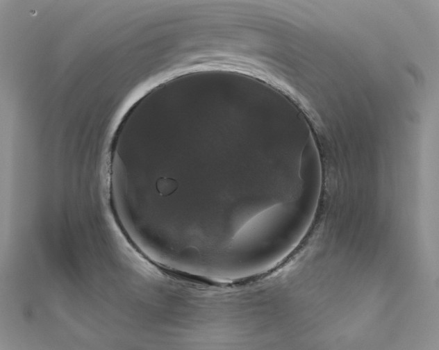 X0000111871522200907231502