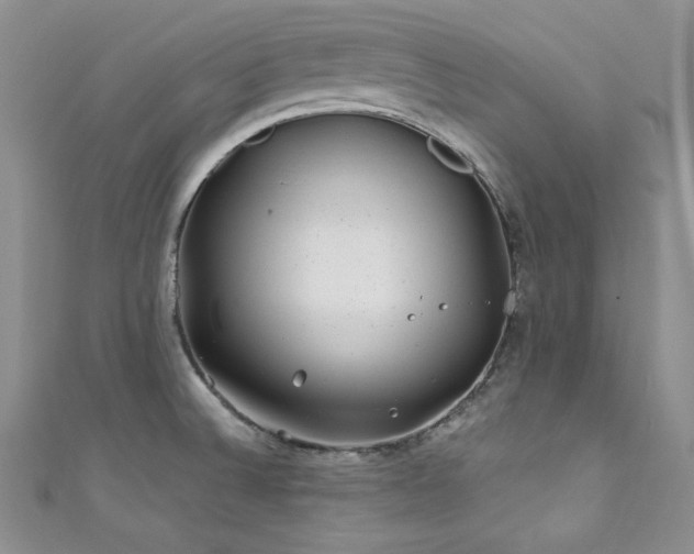 X0000111871524200907231502