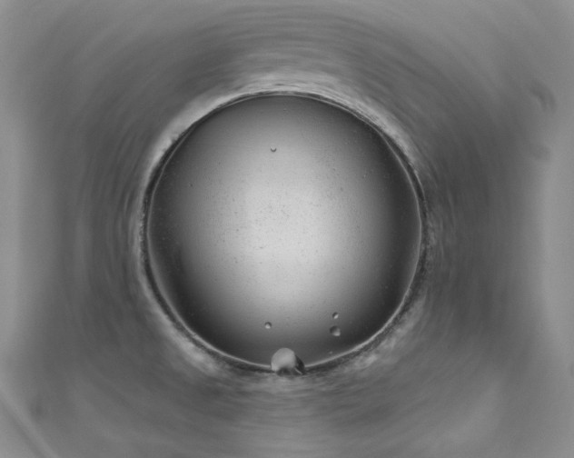 X0000111871525200907231502
