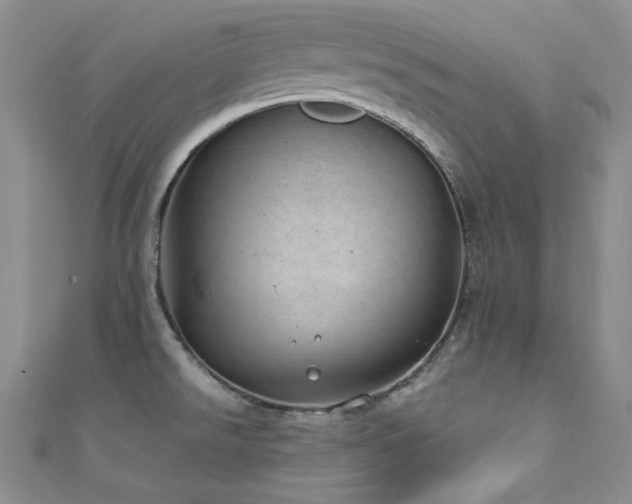 X0000111871526200907231502