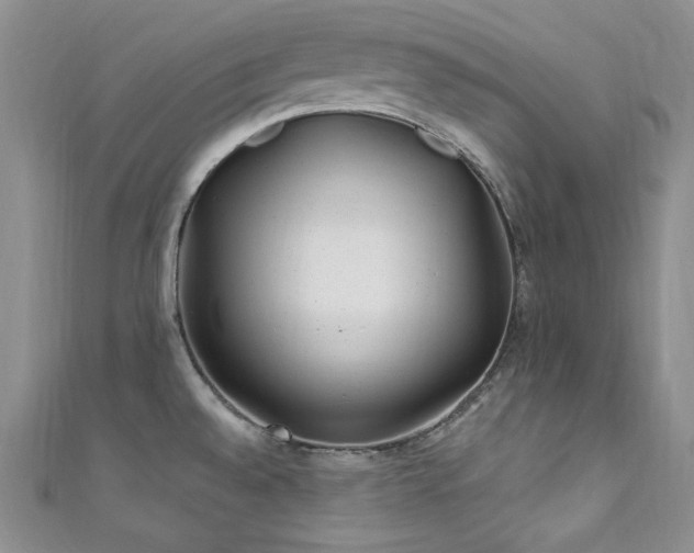 X0000111871528200907231502