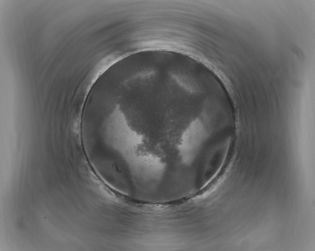 X0000111871529200907231502